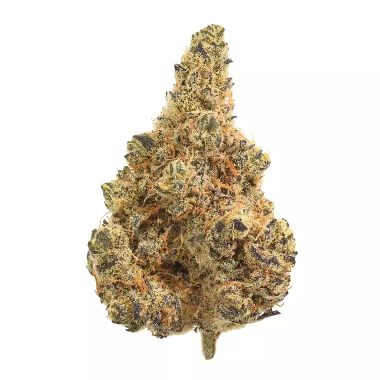 Ceres VT 29/1 – Vanilla Train – Produktbild des Anbieters Dr. Ansay