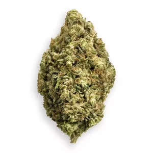 Supreme 22/1 OS – Orange Starfruit – Produktbild des Anbieters Dr. Ansay