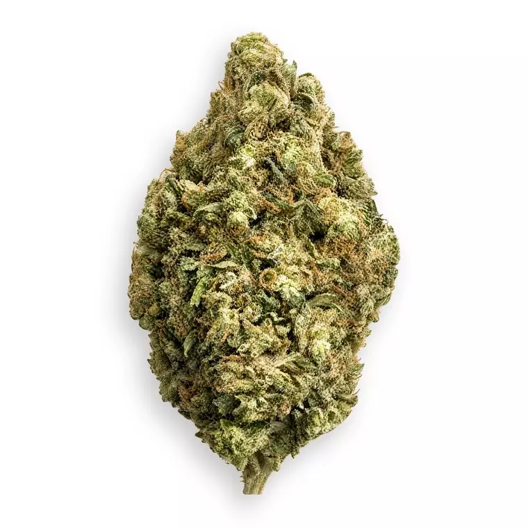 Supreme 22/1 OS – Orange Starfruit – Produktbild des Anbieters Dr. Ansay