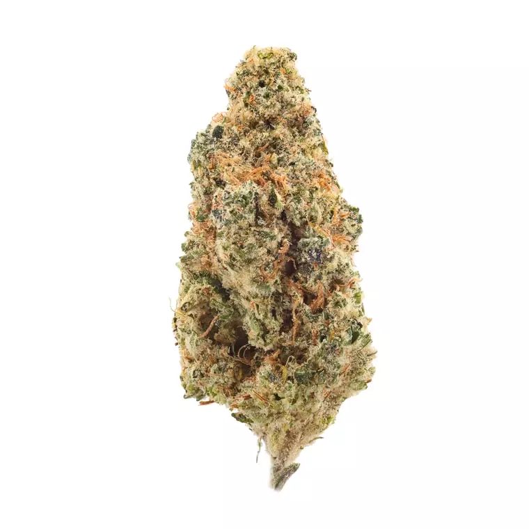 Patagonia GR 34/1 – Grape Runtz – Produktbild des Anbieters Dr. Ansay