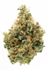 CherryCo THC 25 Sativa – Arctic Gorilla – Produktbild des Anbieters Dr. Ansay