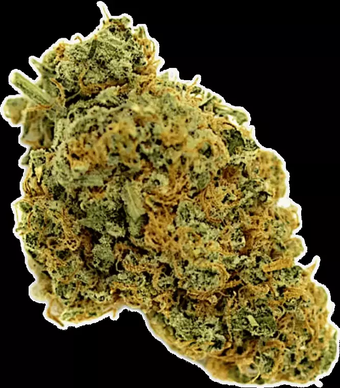 Origine Nature Chem 29/1 Chemdawg OG – Chemdawg OG – Produktbild des Anbieters Dr. Ansay