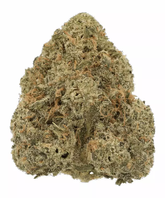 Cannamedical Indica Forte DK – Blue Cheese – Produktbild des Anbieters Dr. Ansay