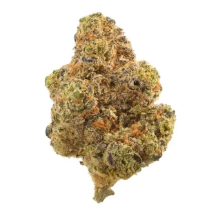 All Nations EC 32/1 – El Chivo – Produktbild des Anbieters Dr. Ansay