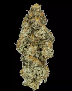 30/1 IUVO OC – Platinum Oranges – Produktbild des Anbieters Dr. Ansay