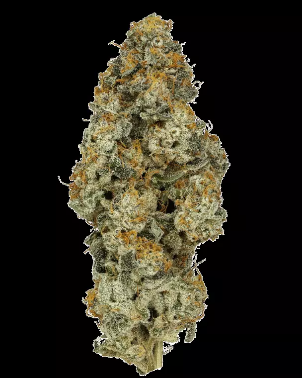 30/1 IUVO OC – Platinum Oranges – Produktbild des Anbieters Dr. Ansay