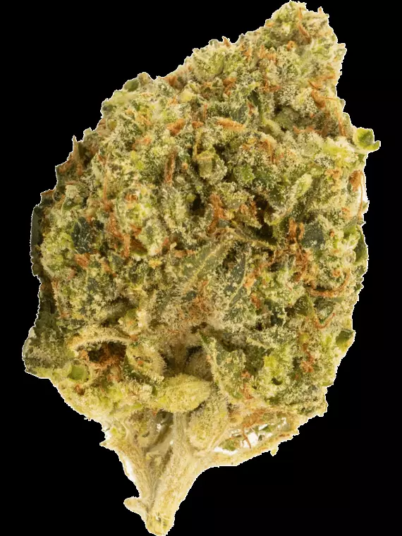 Canopy CME 28 – Chemsical – Produktbild des Anbieters Dr. Ansay