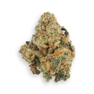 Blayz 28/1 HM – Hawaiian Marker – Produktbild des Anbieters Dr. Ansay