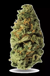 PHENO Cannabisblüten 25/1 WPT – White Peyto – Produktbild des Anbieters Dr. Ansay