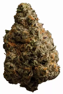 enua 30/1 PS3 CA MYC – Minty Cookies – Produktbild des Anbieters Dr. Ansay