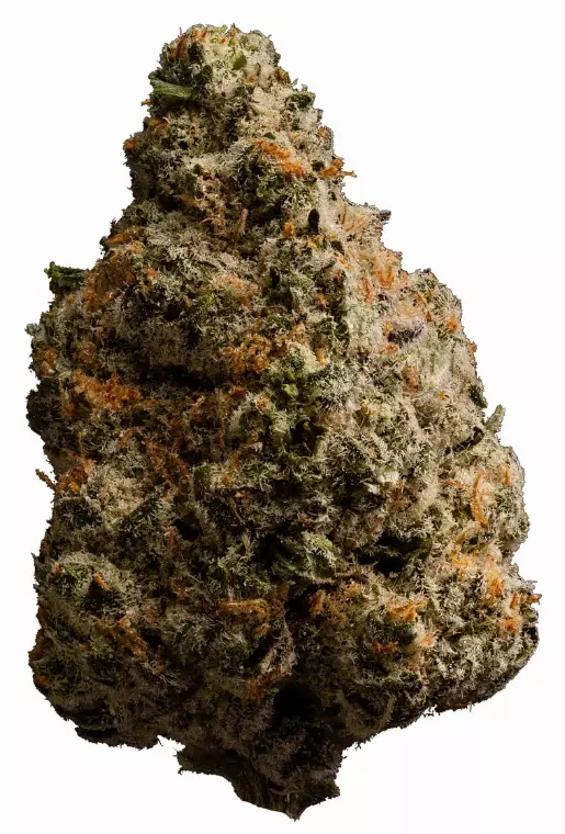 enua 30/1 PS3 CA MYC – Minty Cookies – Produktbild des Anbieters Dr. Ansay
