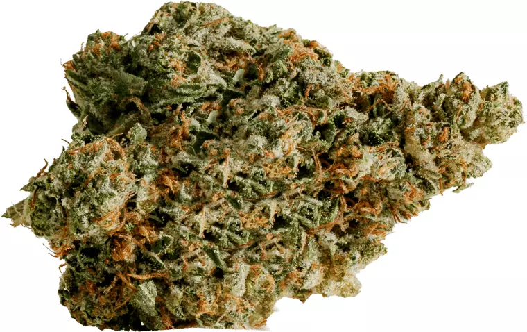 enua 27/1 PS3 CA PNK – Pink Kush – Produktbild des Anbieters Dr. Ansay