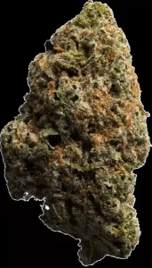 enua 30/1 8BK CA – 8-Ball Kush – Produktbild des Anbieters Dr. Ansay