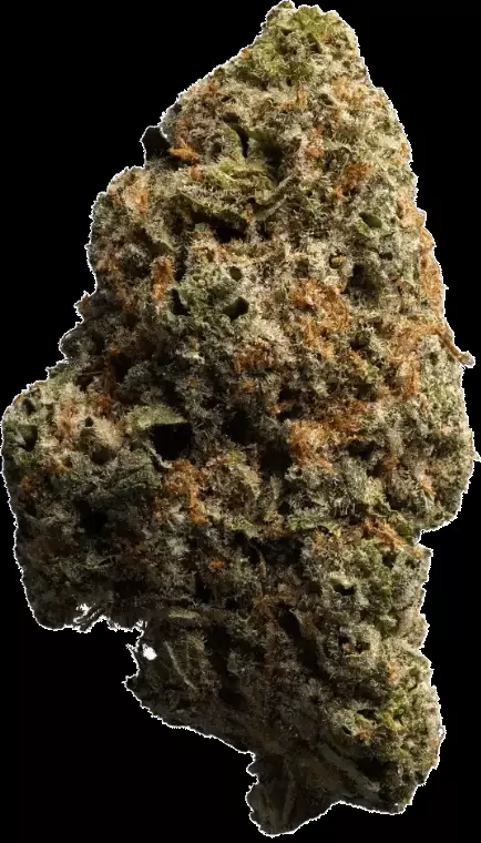 enua 30/1 8BK CA – 8-Ball Kush – Produktbild des Anbieters Dr. Ansay