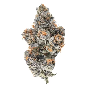 enua 30/1 EJZ CA – El Jefe Zoap – Produktbild des Anbieters Dr. Ansay