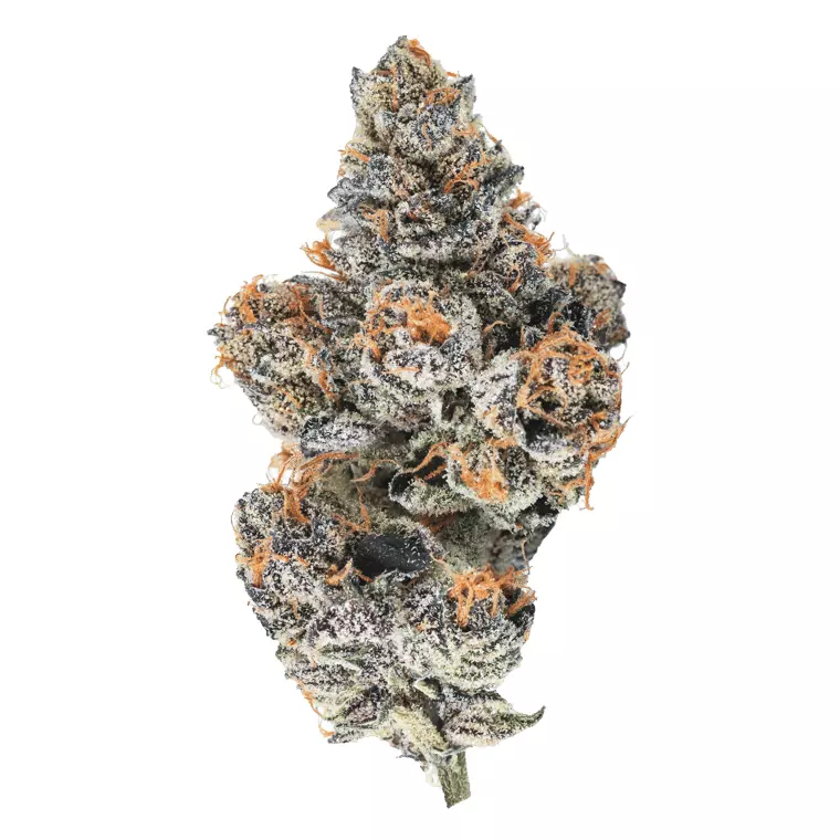 enua 30/1 EJZ CA – El Jefe Zoap – Produktbild des Anbieters Dr. Ansay