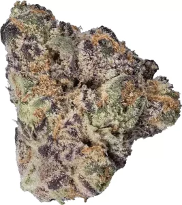 enua 30/1 CCK CA GBZ – Guava Barz – Produktbild des Anbieters Dr. Ansay