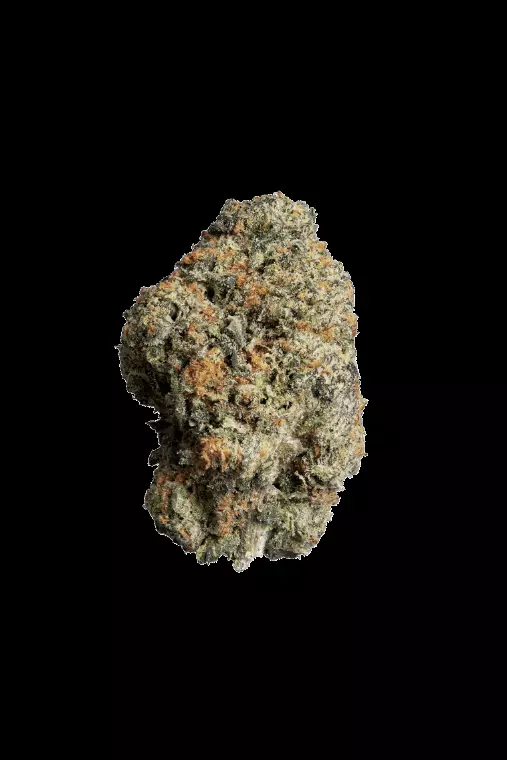 enua 33/1 PS3 CA JFG – Jet Fuel Gelato – Produktbild des Anbieters Dr. Ansay