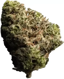 enua 33/1 JGF CA – Jungle Fumes – Produktbild des Anbieters Dr. Ansay