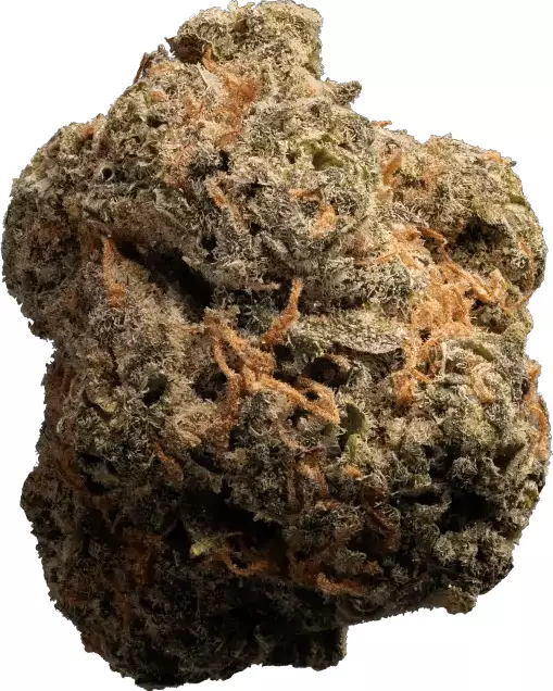 enua 30/1 LHZ CA – Lemonade Haze – Produktbild des Anbieters Dr. Ansay