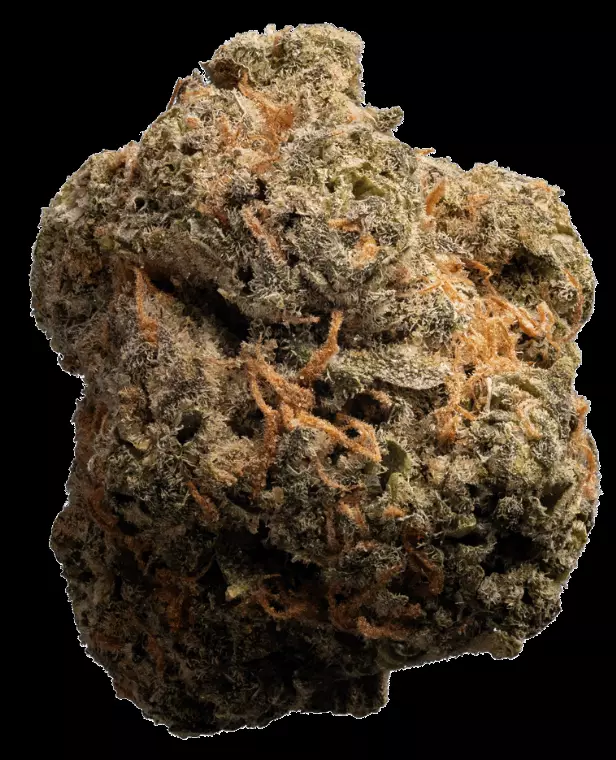 enua 33/1 LHZ CA – Lemonade Haze – Produktbild des Anbieters Dr. Ansay