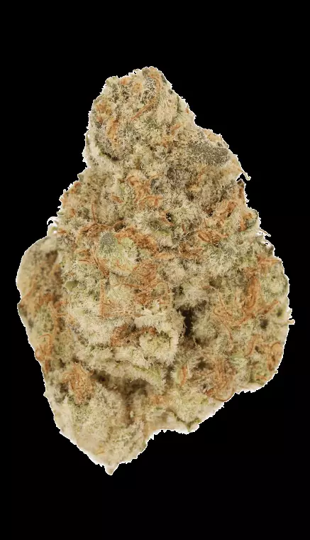 Cannamedical Hybrid Ultra KA – Cosmic Mac – Produktbild des Anbieters Dr. Ansay