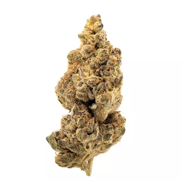 gramz. PK 34/1 – Platinum Kush – Produktbild des Anbieters Dr. Ansay