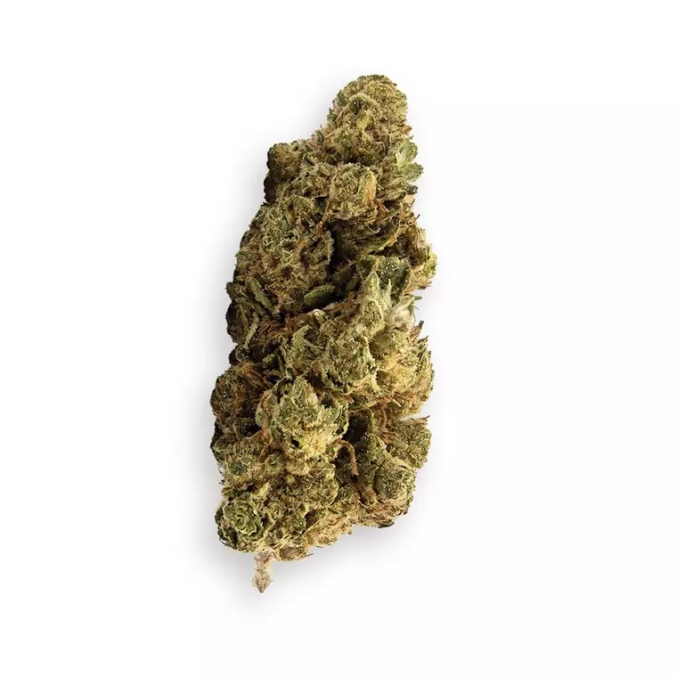 Coyote Valley 22/1 CAL – Calamansi – Produktbild des Anbieters Dr. Ansay