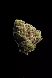 enua 27/1 JGF CA – Jungle Fumes – Produktbild des Anbieters Dr. Ansay