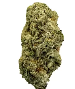 ZOIKS 22/1 ALM – Alienmax – Produktbild des Anbieters Dr. Ansay