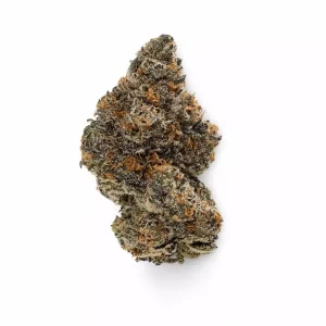 Buuo 26/1 FRC – Frosted Cookies Popstars – Produktbild des Anbieters Dr. Ansay