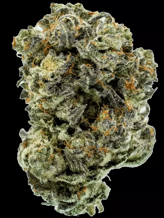 Tweed DIO 30 – Dante’z Inferno (Oreoz x Devil Driver) – Produktbild des Anbieters Dr. Ansay