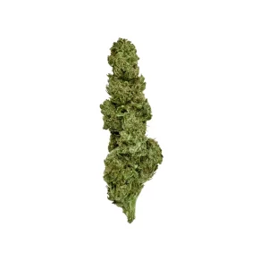 aleph earth 16/1 Mantis – Mantis – Produktbild des Anbieters Dr. Ansay