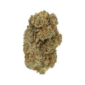 LUANA 20/1 GMS GMO – GMO Mints – Produktbild des Anbieters Dr. Ansay