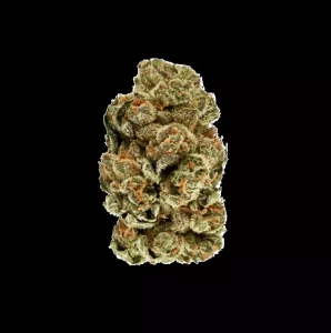 enua 27/1 COZ CA – Cookies OZ – Produktbild des Anbieters Dr. Ansay