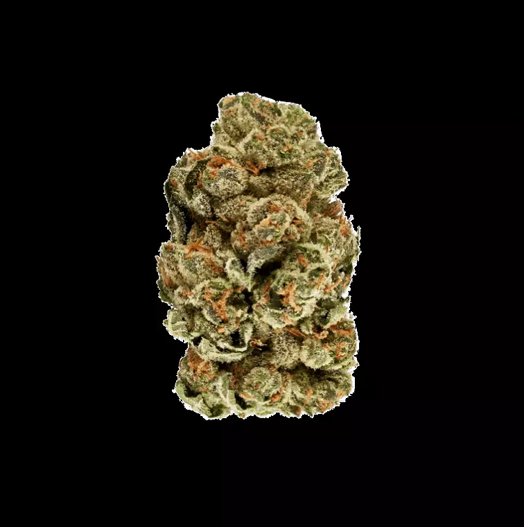 enua 27/1 COZ CA – Cookies OZ – Produktbild des Anbieters Dr. Ansay
