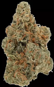 LUANA 28/1 GCG – God Cherry Gusher – Produktbild des Anbieters Dr. Ansay