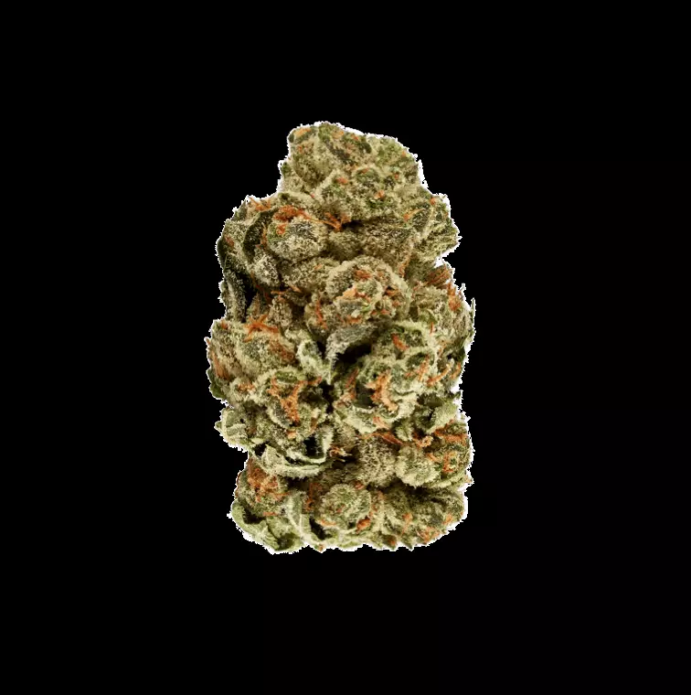 slouu 30/1 COZ CA – Cookies OZ – Produktbild des Anbieters Dr. Ansay