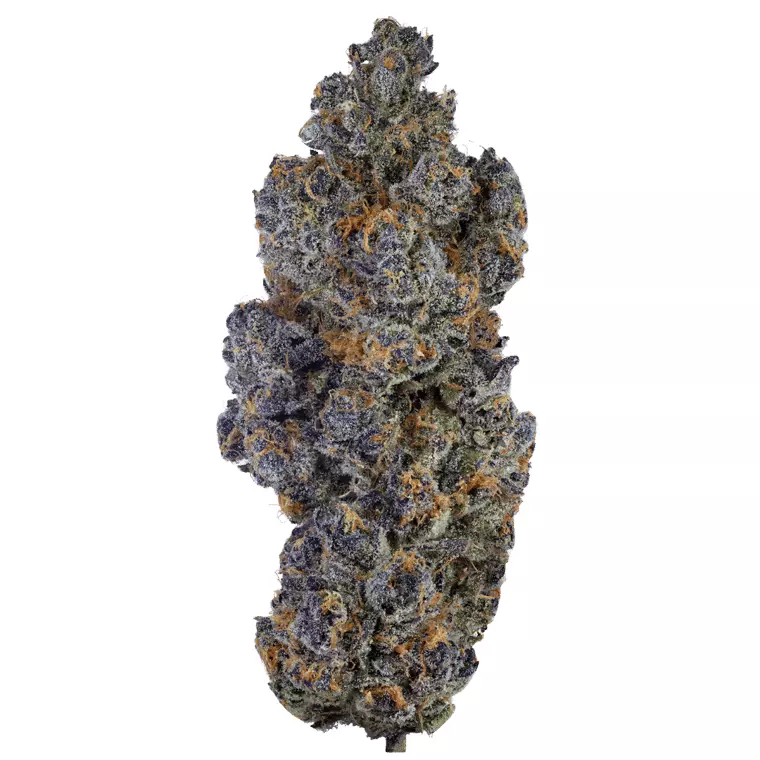 Bathera 29 CA SB – Super Boof – Produktbild des Anbieters Dr. Ansay