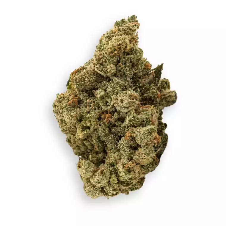 Blayz 24/1 SRS – Sour Sherb – Produktbild des Anbieters Dr. Ansay