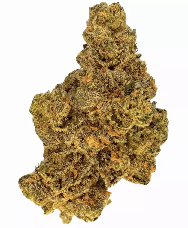 J.R. Strain GP 32/1 – Gastro Pop – Produktbild des Anbieters Dr. Ansay