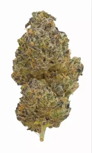 gramz. 001 SB 25/1 – Super Boof – Produktbild des Anbieters Dr. Ansay