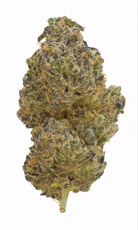 gramz. 001 SB 25/1 – Super Boof – Produktbild des Anbieters Dr. Ansay