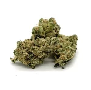 420 Evolution 27/1 CA GMO – GMO Cookies – Produktbild des Anbieters Dr. Ansay