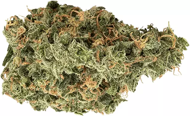 avaay 31/1 SCG – Super Citra G – Produktbild des Anbieters Dr. Ansay