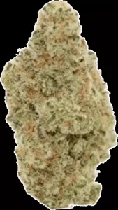 Uncle Bob GD 25/1 – Grand Daddy – Produktbild des Anbieters Dr. Ansay