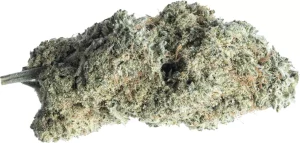 aleph Matterhorn 21/1 – Banjo – Produktbild des Anbieters Dr. Ansay