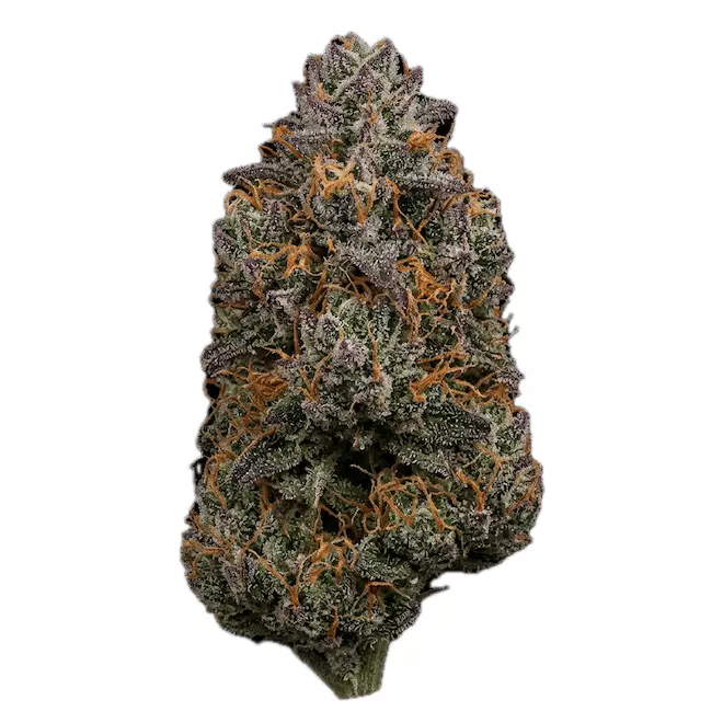 APEX MTF 32 – Mutant Tire Fire – Produktbild des Anbieters Dr. Ansay