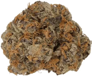 Cannamedical CM 24/1 PG – Platinum Grapes – Produktbild des Anbieters Dr. Ansay