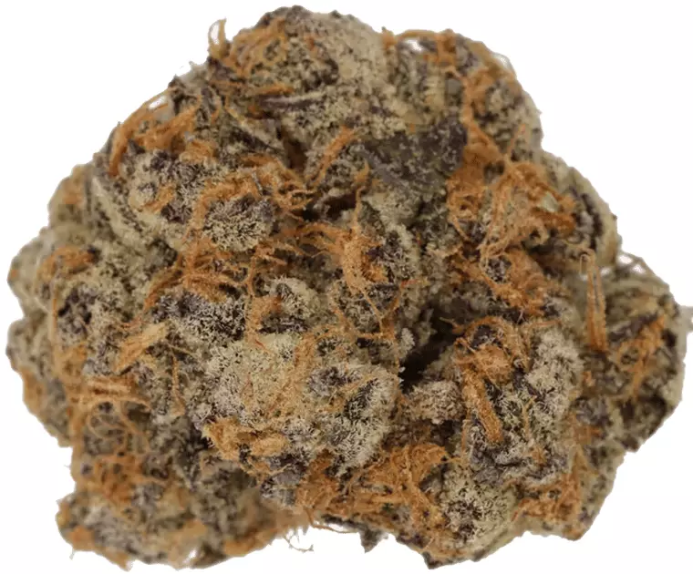 Cannamedical CM 24/1 PG – Platinum Grapes – Produktbild des Anbieters Dr. Ansay